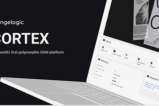 Case study: Improve file management experience of a digital asset management platform