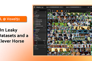On Leaky Datasets and a Clever Horse