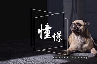 FreshGrad的衝勁。憧憬。#iworklikeadog |90後返工狗日誌