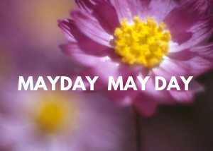 Mayday May Day