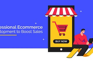 Professional Ecommerce development