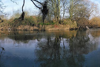 Reflections on perception by the Lea