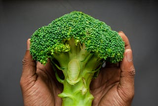 Two hands holding a broccoli floret