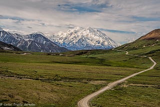 hiking in Denali National Park