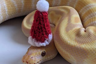 Happy Holidays and the Snake of Secularism