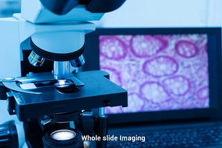 Whole Slide Imaging