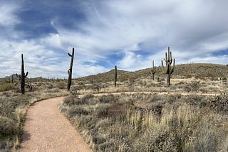 Saguaro Death