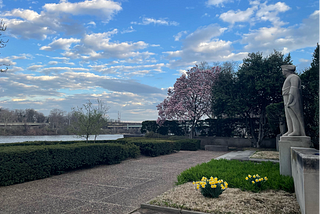2025 First Quarter Reflections