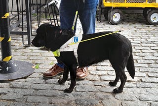 Guide Dogs: Bringing Light to People