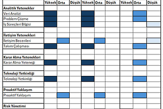 Business Capability Analysis (Yetkinlik / Yetenek Analizi)