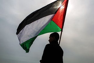 In Solidarity: DAP Stands with Palestine and Against Israeli Settler Colonialism