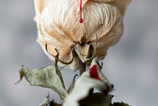 When Abuse Escalates in Frequency and Severity