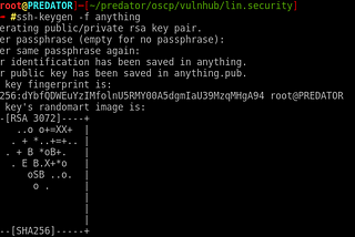 VulnHub — Lin.Security: 1