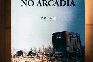 Review: No Arcadia by D. Eric Parkison
