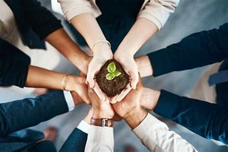 How to Nurture Leadership Skills from Day One