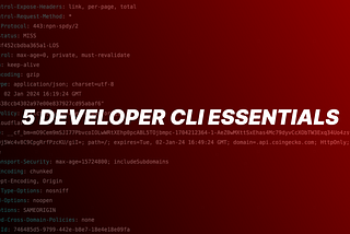 5 Developer CLI essentials