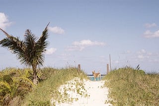 Bahamian hurricane parties and nature showing who is boss