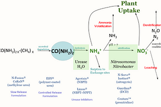 Are Nitrogen Stabilizers Worth Using? 3 Factors to Consider