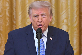 Slogging Anew through 2020