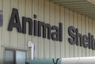 Animal shelter seeks more volunteers