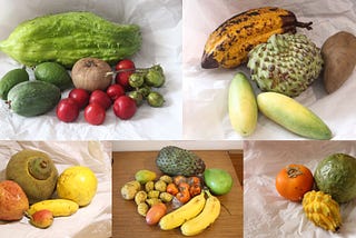 The Fruits of Colombia