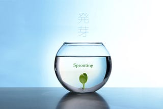 発芽