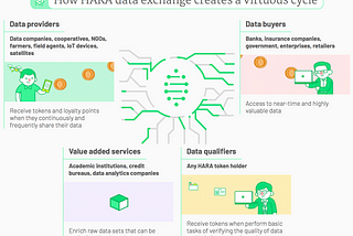 Five Lessons from My Data Science Internship at HARA