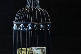 A lone, one dollar bill (USD) inside a black birdcage.