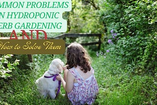 Common Problems in Hydroponic Herb Gardening and How to Solve Them