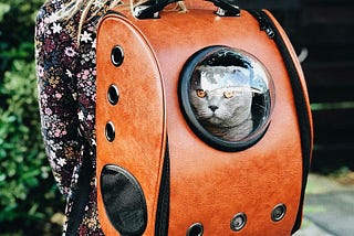 The Lady Who Talked to Alien Cats from Sirius