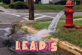 Stop losing leads today.