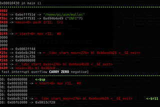 Heap Exploitation for Homo sapiens.