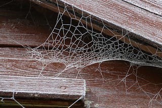 Rethinking “WWW”: Why It is Past Time to Move On