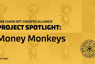 Project Spotlight: Money Monkeys