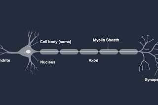 Psychology of Artificial Neural Networks