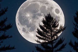 A big bright moon shines through the night slightly hidden behind a forest tree.