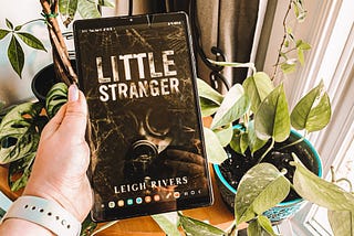 Book Review : Little Stranger by Leigh Rivers
