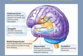 Our Neural Activity Patterns Define Who We Are