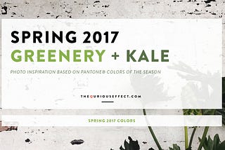 Color: Spring 2017 Greenery + Kale