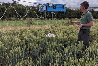 How does biochar reduce soil greenhouse gas emissions?