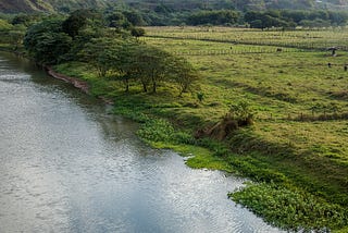 Assessing Nigeria’s Environmental Policies and Solutions