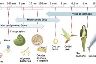 PERIGOS INVISÍVEIS