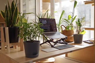 7 Tips for Staying Productive When Working from Home