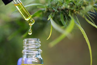 The rise of CBD and the benefits it can have on your overall health
