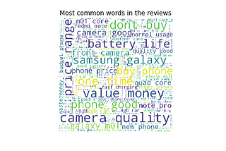 Most common words in the reviews