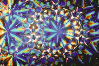 Diversity Instead of Simplicity: Why Focusing on a Single Niche Is Not for Me