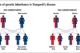 Loss of sight and family doesn’t equate to loss of life