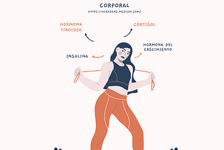 El rol de las hormonas en la oxidación o acumulación de la grasa corporal