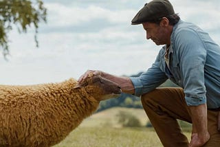 EWE-dunit — The Sheep Detectives
