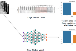 Explorations in Knowledge Distillation